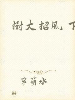树大招风 下载