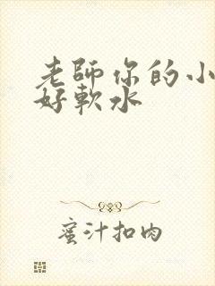 老师你的小兔子好软水