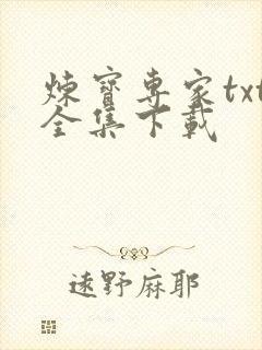 炼宝专家txt全集下载