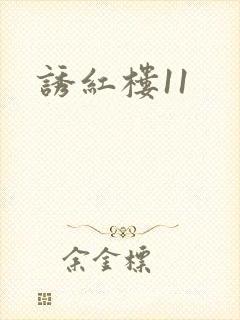 诱红楼11