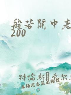 般若关中老人5200