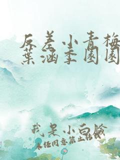 反差小青梅不经叶涵季园园