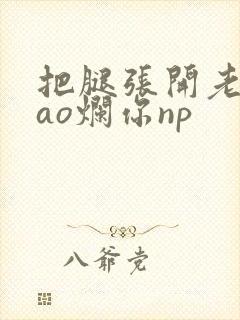 把腿张开老子cao烂你np