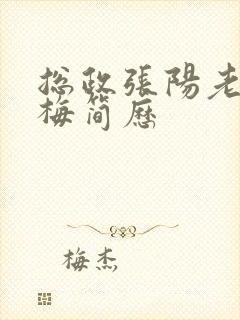 总政张阳老婆吕梅简历