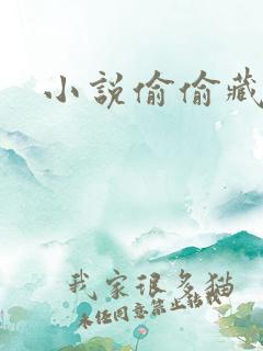 小说偷偷藏不住