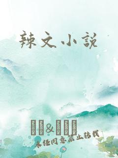 辣文小说