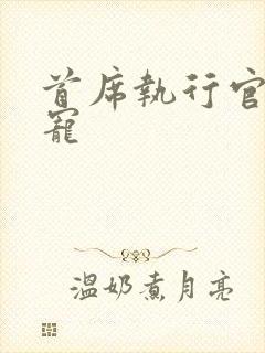 首席执行官的绝宠