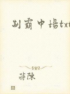 制霸中场txt