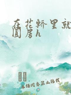 在花轿里就开始圆房h