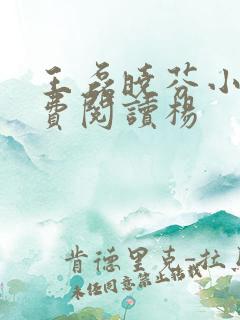 王磊晓芬小说免费阅读杨