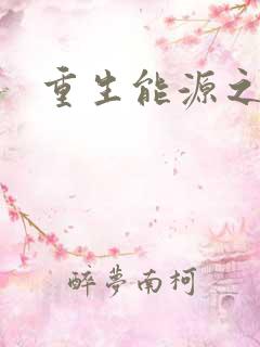 重生能源之王
