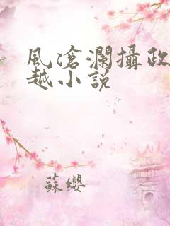 风沧澜摄政王穿越小说