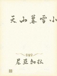 天山暮雪小说