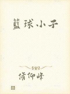 篮球小子