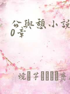 公与憩小说400章