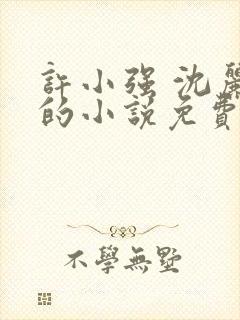 许小强 沈丽娟的小说免费阅读