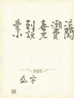 爱到春潮滚滚来小说免费阅读