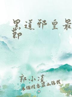 黑道邪皇最新章节