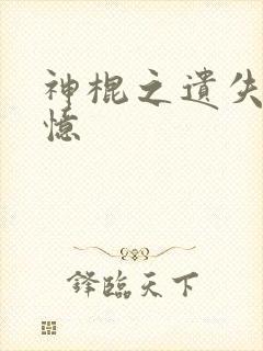 神棍之遗失的记忆