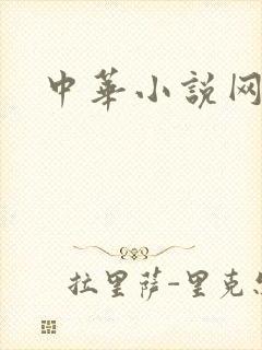 中华小说网
