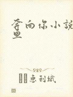 奔向你小说甜醋鱼