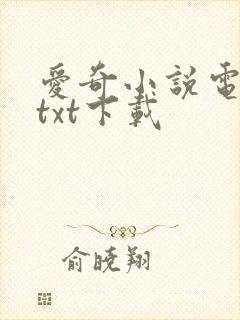 爱奇小说电子书txt下载