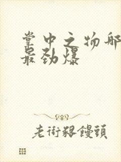 掌中之物哪一章最劲爆