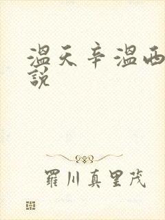 温天辛温西离小说