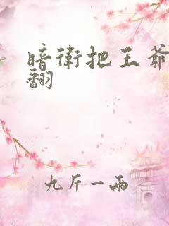 暗卫把王爷做爽翻