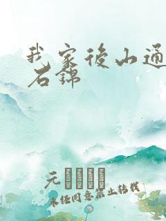 我家后山通仙界石锦