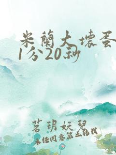 米兰大坏蛋真空1分20秒