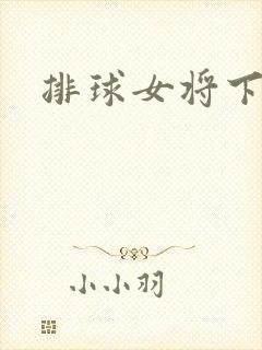 排球女将下载