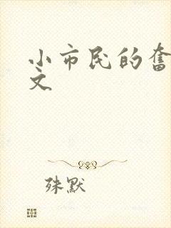 小市民的奋斗燃文