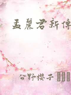 孟丽君新传