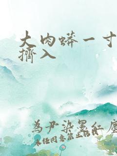 大肉蟒一寸一寸挤入