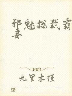 邪魅总裁霸占新妻