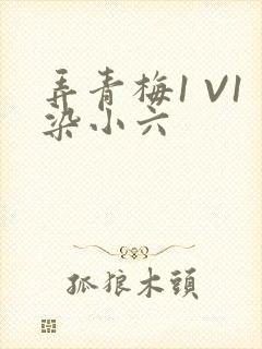 弄青梅1 V1染小六