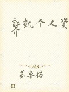 许凯个人资料简介