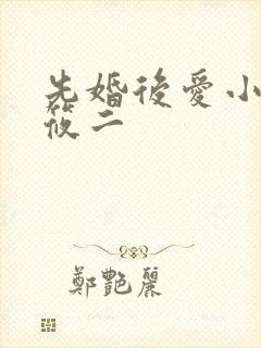 先婚后爱小说梦筱二