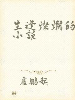 生逢灿烂的日子小说