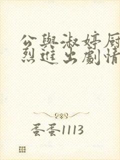 公与淑婷厨房猛烈进出剧情介绍