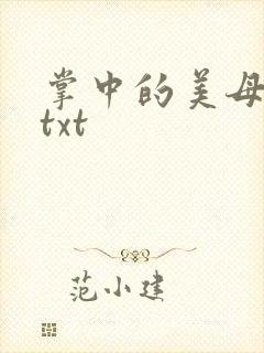掌中的美母版主txt