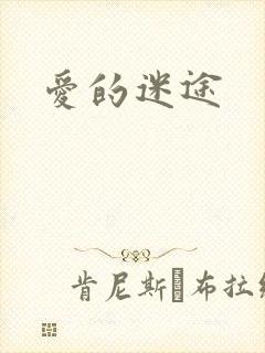爱的迷途
