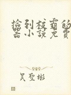 捡到校霸的遥控器小说免费阅读