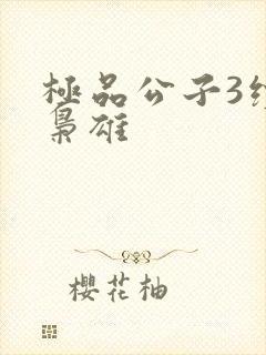 极品公子3续世枭雄