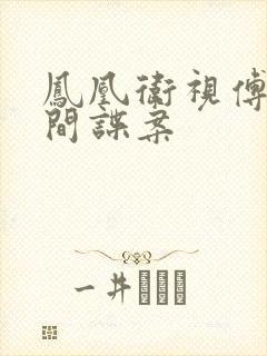 凤凰卫视傅晓田间谍案