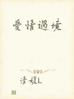 爱情过境