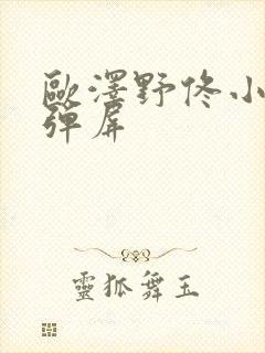 欧泽野佟小曼无弹屏