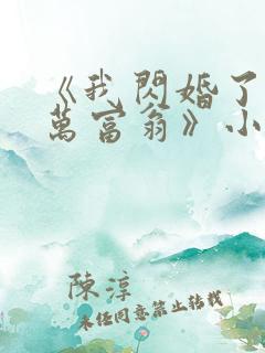 《我闪婚了个亿万富翁》小说