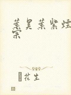 叶昊叶紫烟老祖宗